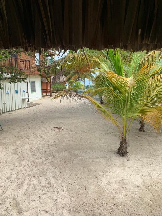 Heavens Gate Beach Bungalows Villa Placencia Exteriör bild